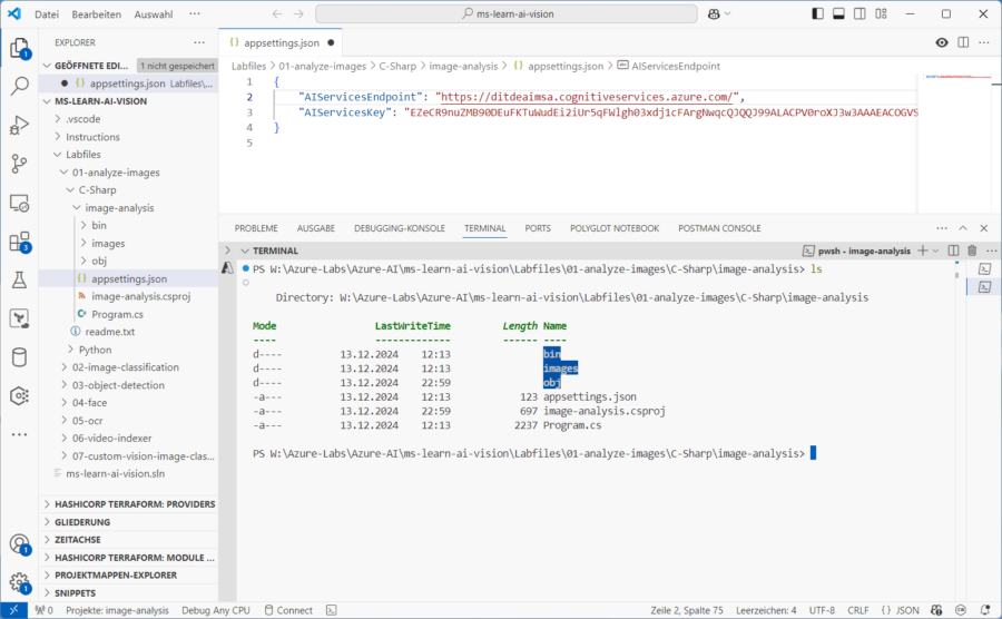 Das Anpassen der appsettings.json-Datei zur Authentifizierung des Clients.